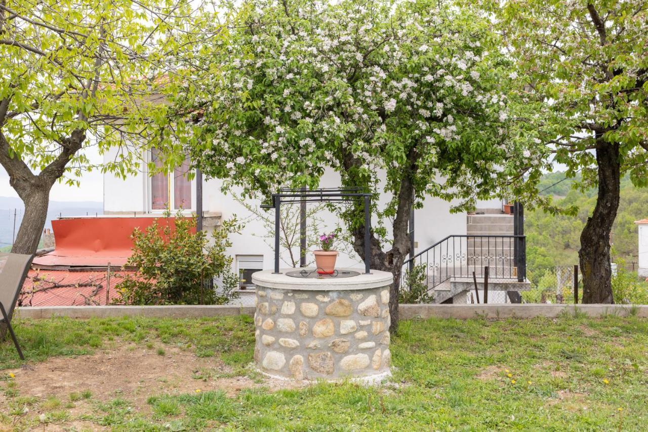 Archontiko Fotini - Traditional Guesthouse Meteora Kalampáka Buitenkant foto